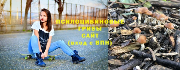 первитин Богданович
